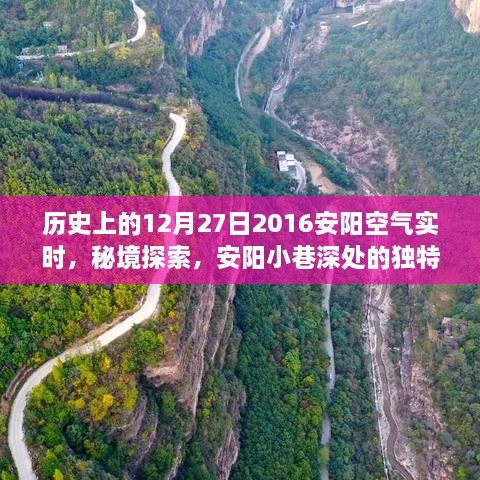 hushidandan 第3页