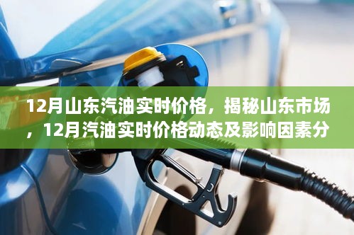 联系我们 第241页