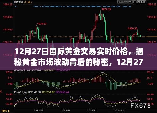 新闻动态 第229页