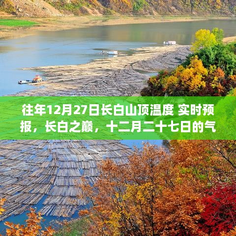 fuguilida 第3页