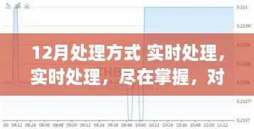 十二月处理方式实时处理全面评测，掌握实时处理的秘诀
