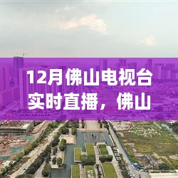 sheshenchudi 第3页