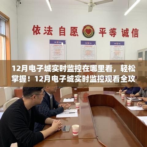 掌握最新动态，12月电子城实时监控观看指南