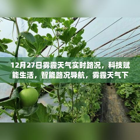 科技赋能生活，雾霾天气下的智能路况导航与行车新选择实时更新（12月27日）