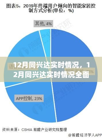 12月同兴达实时情况全面解析与最新介绍
