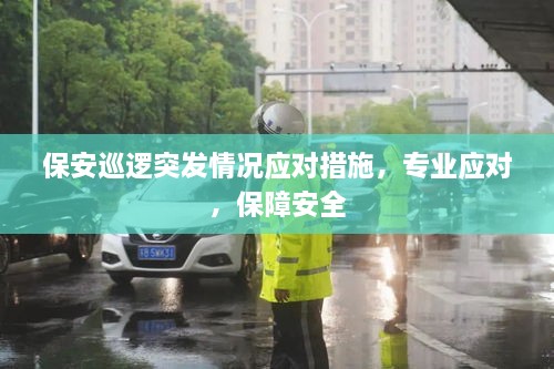 开张圣听 第4页