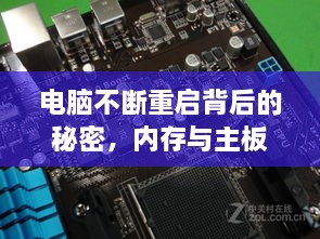 虚张声势 第3页