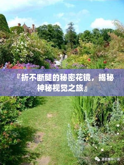 『折不断腿的秘密花镜，揭秘神秘视觉之旅』