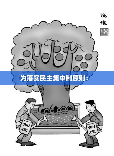 为落实民主集中制原则： 