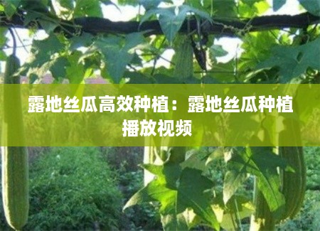 星星打烊 第3页