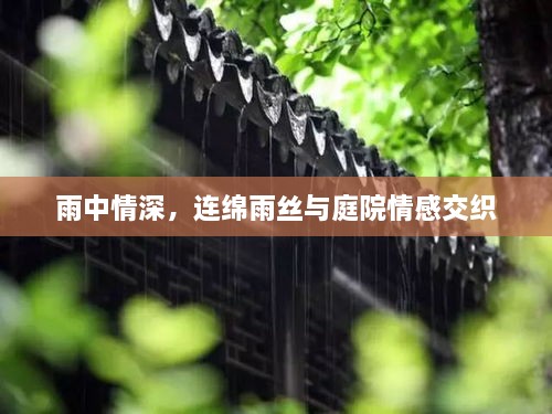 蛙鸣鼓吹 第3页