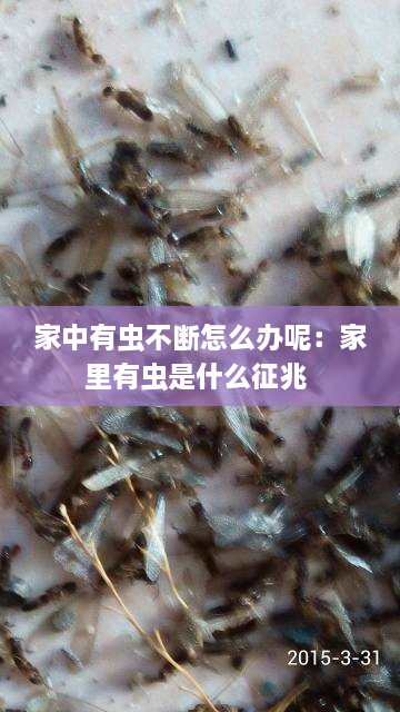 寥寥无几 第2页