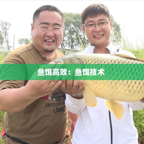 鱼饵高效：鱼饵技术 