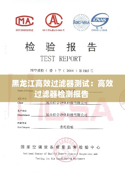 黑龙江高效过滤器测试：高效过滤器检测报告 