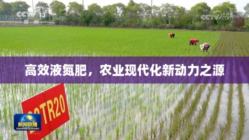 高效液氮肥，农业现代化新动力之源