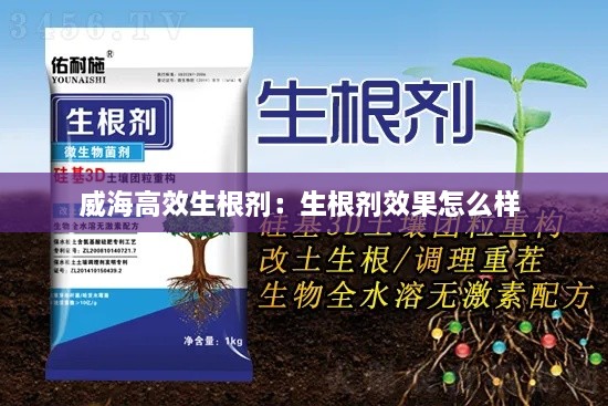 威海高效生根剂：生根剂效果怎么样 
