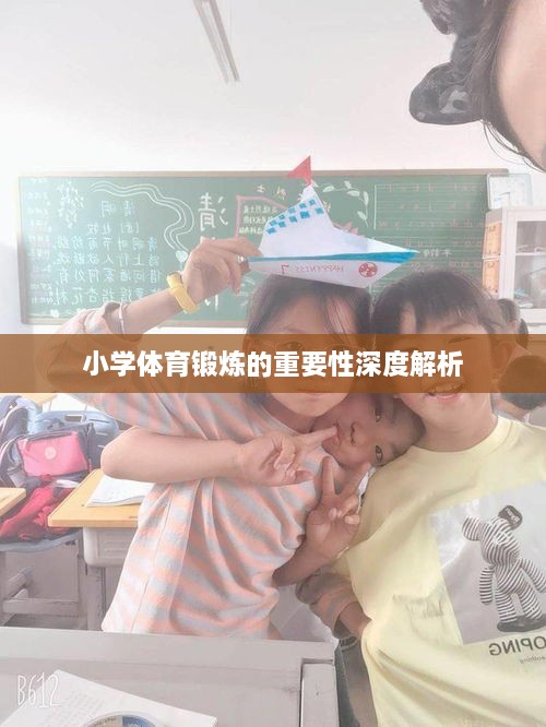 小学体育锻炼的重要性深度解析