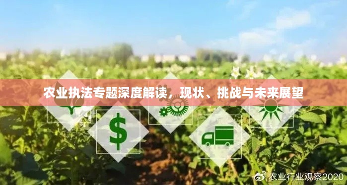 农业执法专题深度解读，现状、挑战与未来展望