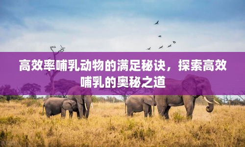 洞天福地 第3页