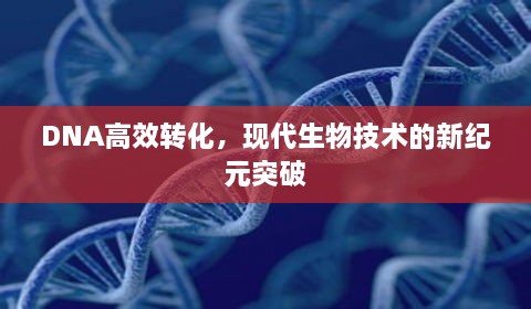 一石二鸟 第2页