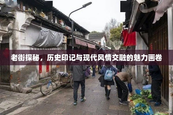 张王李赵 第3页