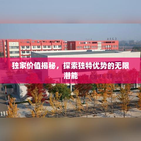独家价值揭秘，探索独特优势的无限潜能