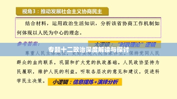 专题十二政治深度解读与探讨