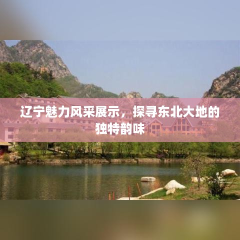 张皇失措 第3页