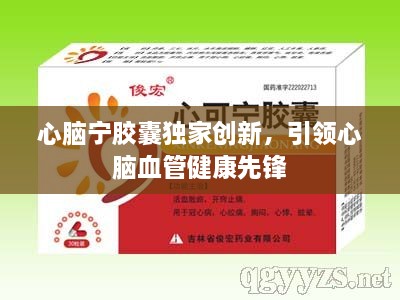 新闻动态 第201页