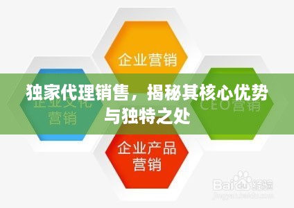 独家代理销售，揭秘其核心优势与独特之处