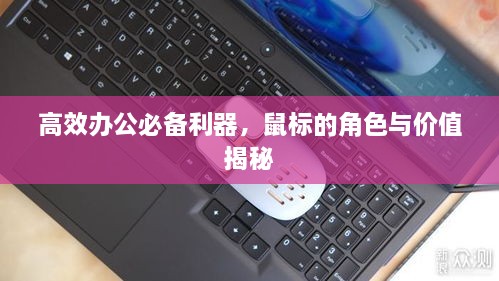 高效办公必备利器，鼠标的角色与价值揭秘