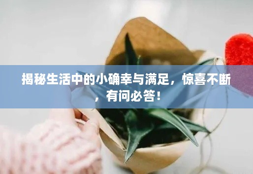 揭秘生活中的小确幸与满足，惊喜不断，有问必答！