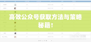 高效公众号获取方法与策略秘籍！