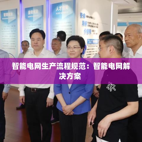 智能电网生产流程规范：智能电网解决方案 