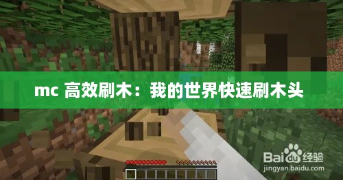 新闻动态 第198页