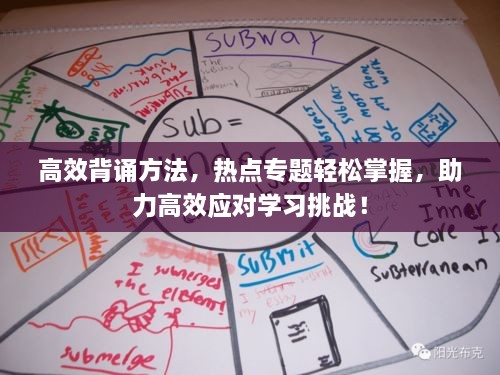 高效背诵方法，热点专题轻松掌握，助力高效应对学习挑战！