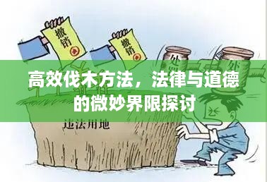 祖道供张 第2页