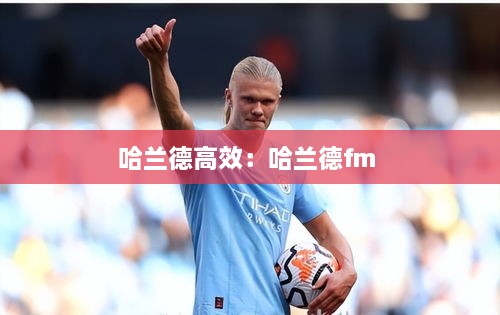 哈兰德高效：哈兰德fm 