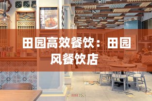 田园高效餐饮：田园风餐饮店 