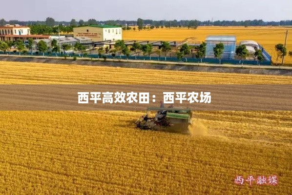 西平高效农田：西平农场 