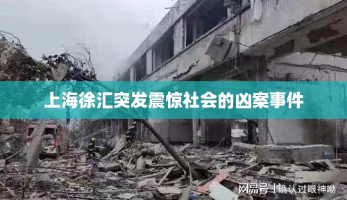 花开无言 第2页