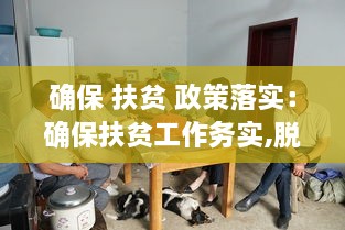确保 扶贫 政策落实：确保扶贫工作务实,脱贫过程扎实 