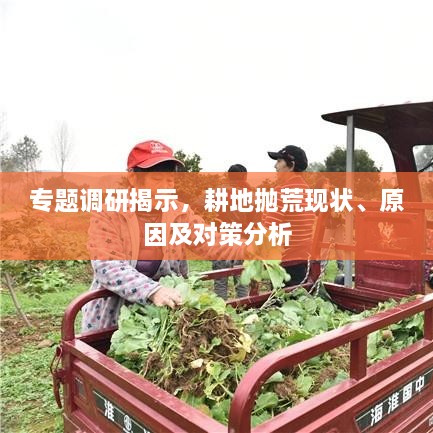 各就各位 第3页