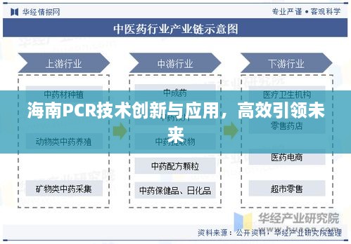 海南PCR技术创新与应用，高效引领未来