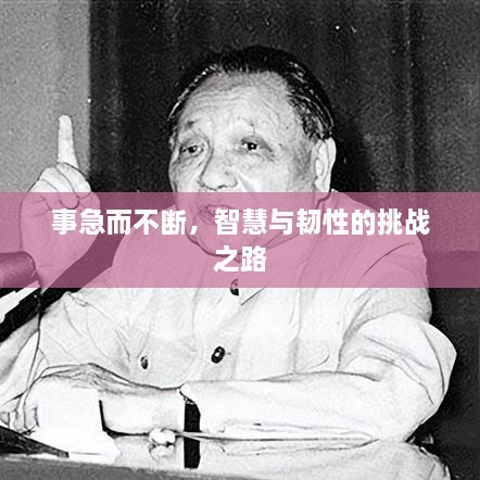 事急而不断，智慧与韧性的挑战之路