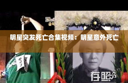 pomazhangfei 第3页