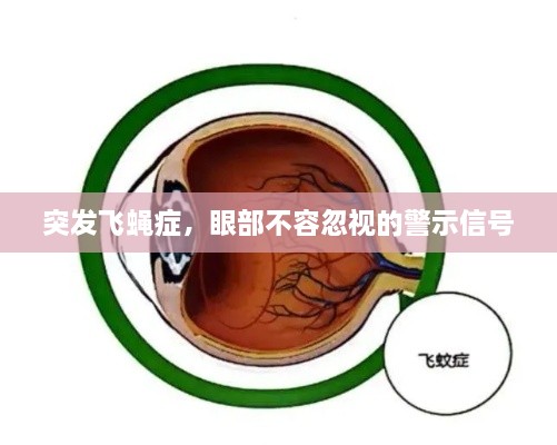 衣不兼彩 第2页