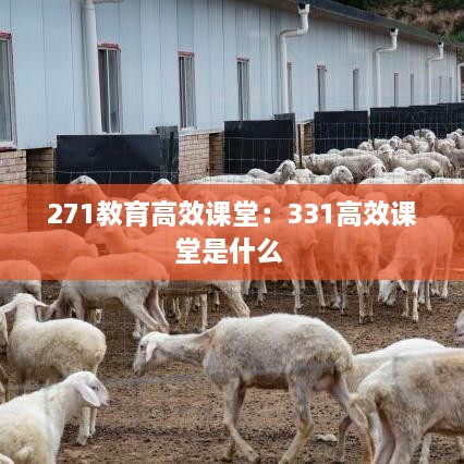 271教育高效课堂：331高效课堂是什么 