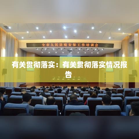 有关贯彻落实：有关贯彻落实情况报告 