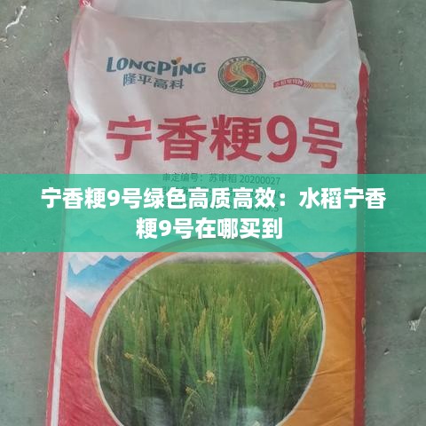 生张熟魏 第2页